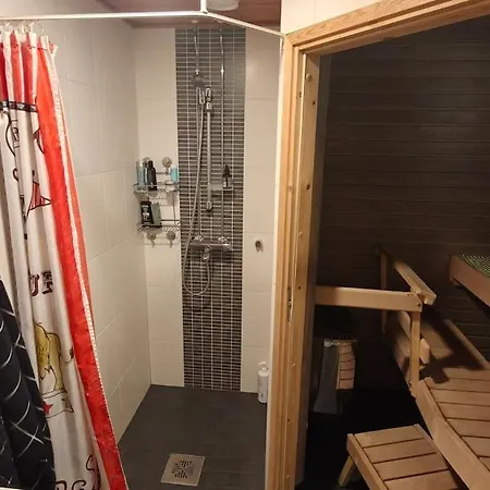 Sauna Near Centre 罗瓦涅米