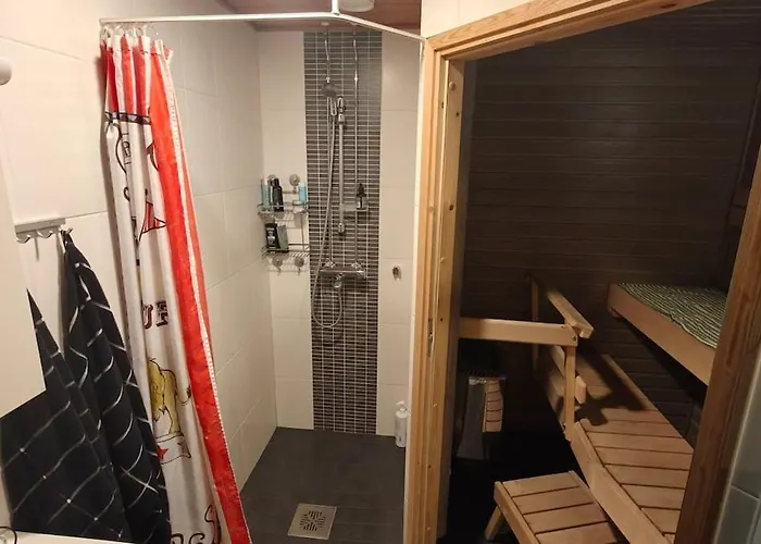 Sauna Near Centre Ροβανιέμι